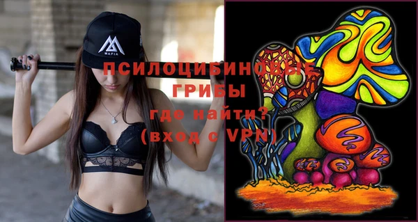 a pvp Алзамай
