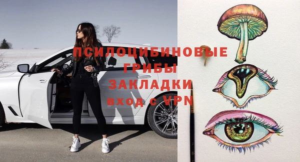 герыч Алексин