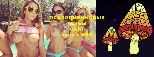 герыч Алексин