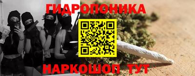 шишки Моздок