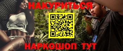 сатива Малгобек