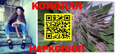 сатива Малгобек