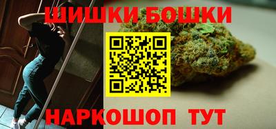 сатива Можга