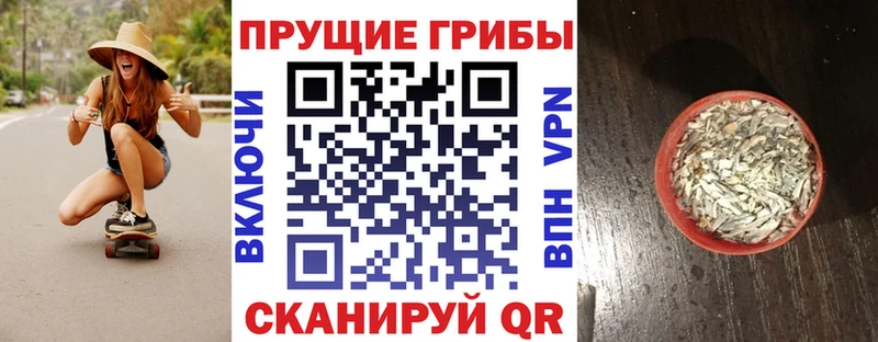 Галлюциногенные грибы Cubensis  МЕГА сайт  Балашов 