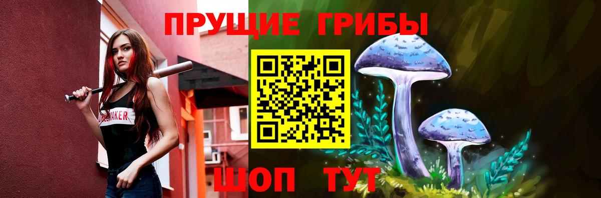 закладки  Галлюциногенные грибы Psilocybine cubensis  Балашов  Вход с VPN  Галлюциногенные грибы Cubensis 