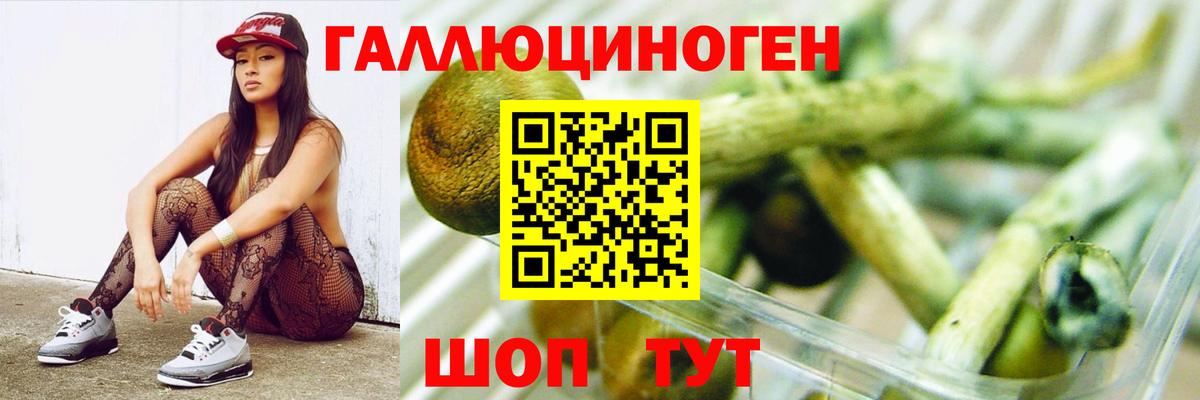 Псилоцибиновые грибы Magic Shrooms Балашов